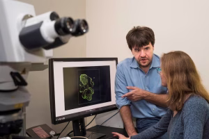 German and US scientists win Nobel medicine prize for work on light and brain